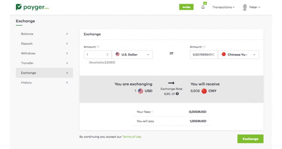 payger-backoffice-3.jpg